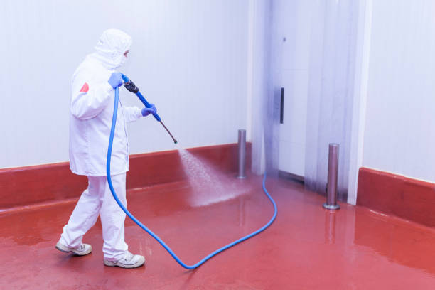 Best Graffiti Removal  in Spring, TX